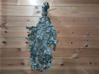 Эвкалиптовый веник серебристый