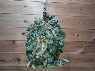 Липовый веник в цвету