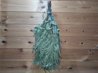 Эвкалиптовый веник обычный