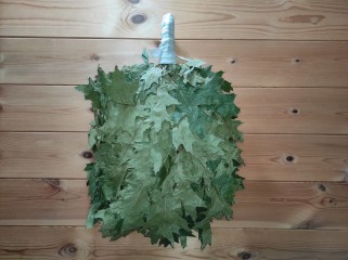 Веник из канадского дуба